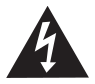Lightning symbol within a triangle