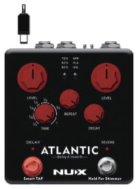 The Delay footswitch held down, power cable unplugged