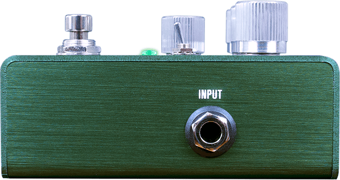 Input side of the ZIO Bass: the INPUT jack on the side of the enclosure