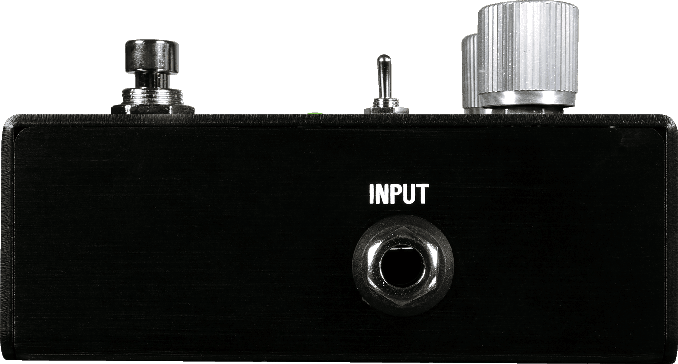 Input side of the ZIO: the INPUT jack on the side of the enclosure