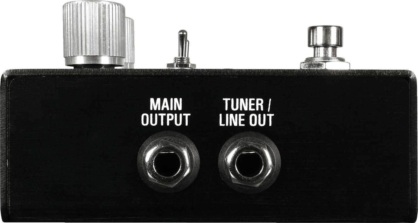 Output side of the ZIO: the MAIN OUTPUT jack on the left and the TUNER / LINE OUT jack on the right