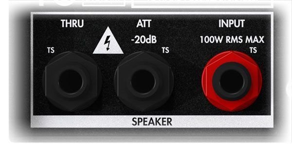 Rear panel close-up: THRU and ATT -20dB speaker outputs beside the SPEAKER INPUT jack (100W RMS max) with its red nut